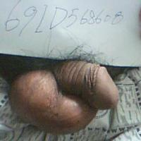 /photo/568608/我自己/图片 001[1]_1_1_small.jpg